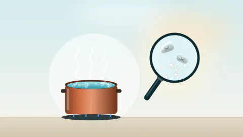 Kaynayan su tenceresi; büyüteç altında etkisiz hâle gelmiş bakteriler ve suda kalan mineral kristalleri